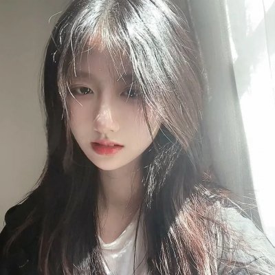 美人记·昭君