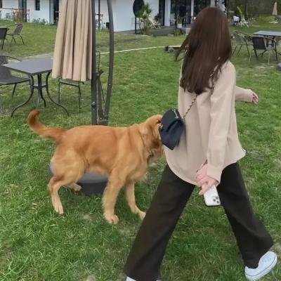 可罗的大散步